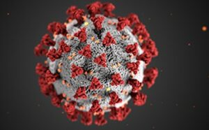 corona virus